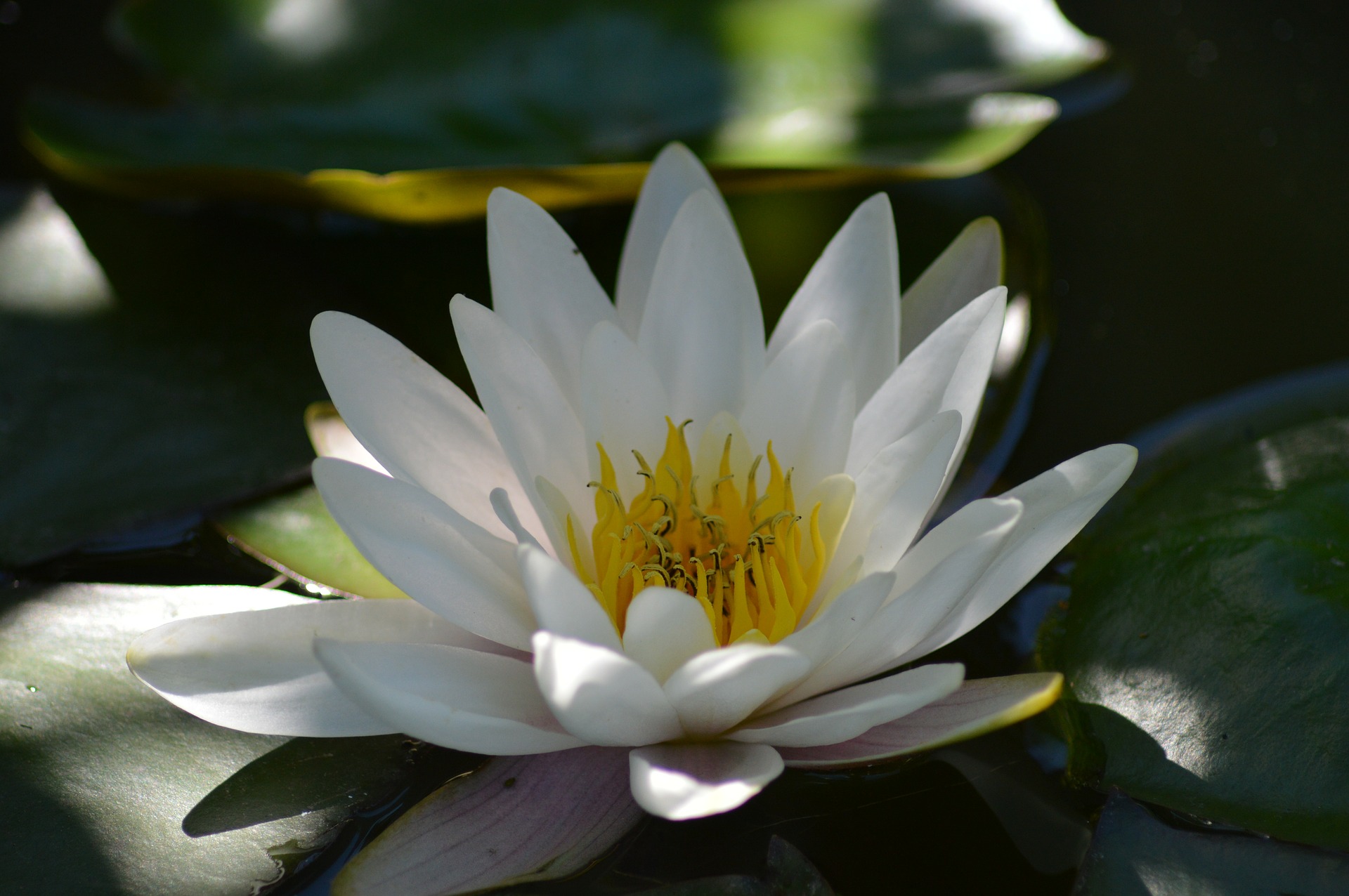 Soul Realization